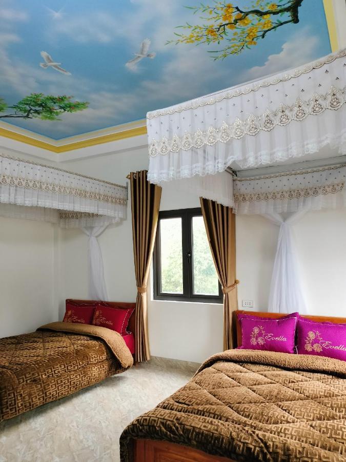 Flying Horse B & B Шапа Екстер'єр фото
